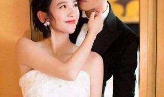 太阳镜蚂蚁庄园 太阳镜蚂蚁庄园